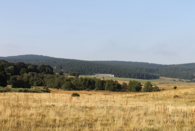 Vacances equestres dans les Cevennes